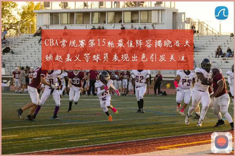 CBA常规赛第15轮最佳阵容揭晓洛夫顿赵嘉义等球员表现出色引发关注